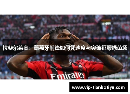 拉斐尔莱奥:葡萄牙前锋如何凭速度与突破征服绿茵场 拉斐尔莱奥:葡萄牙前锋如何凭速度与突破征服绿茵场