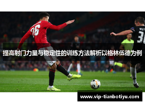 提高射门力量与稳定性的训练方法解析以格林伍德为例 提高射门力量与稳定性的训练方法解析以格林伍德为例