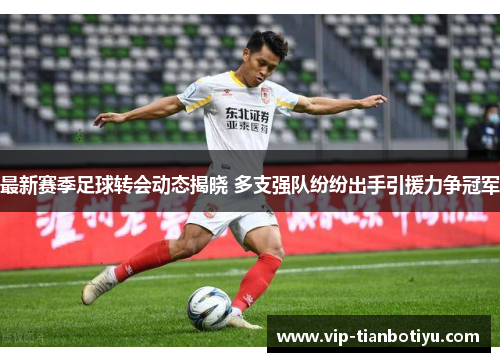 最新赛季足球转会动态揭晓 多支强队纷纷出手引援力争冠军 最新赛季足球转会动态揭晓 多支强队纷纷出手引援力争冠军