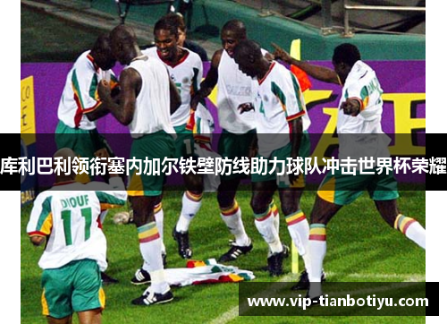 库利巴利领衔塞内加尔铁壁防线助力球队冲击世界杯荣耀 库利巴利领衔塞内加尔铁壁防线助力球队冲击世界杯荣耀