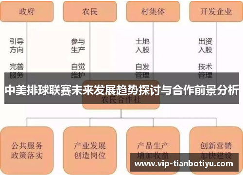 中美排球联赛未来发展趋势探讨与合作前景分析