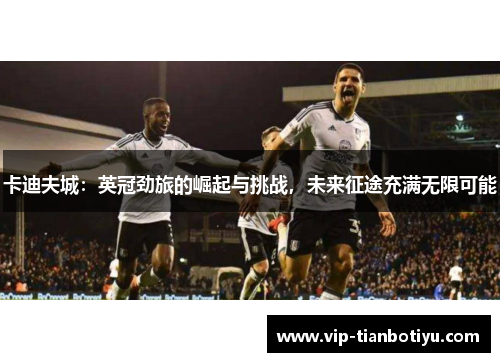 卡迪夫城：英冠劲旅的崛起与挑战，未来征途充满无限可能