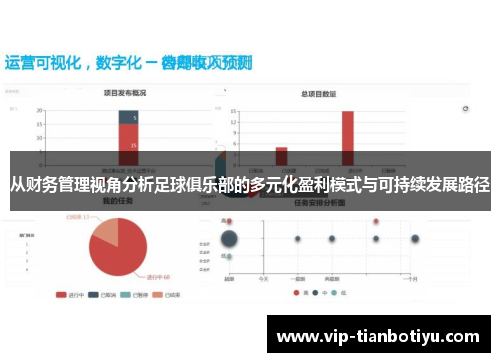 从财务管理视角分析足球俱乐部的多元化盈利模式与可持续发展路径
