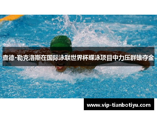 查德·勒克洛斯在国际泳联世界杯蝶泳项目中力压群雄夺金