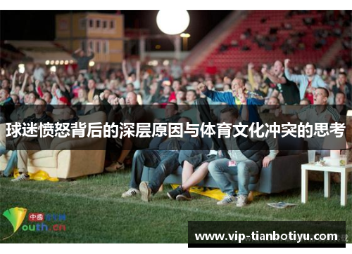 球迷愤怒背后的深层原因与体育文化冲突的思考