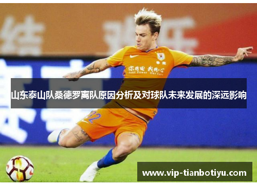 山东泰山队桑德罗离队原因分析及对球队未来发展的深远影响 山东泰山队桑德罗离队原因分析及对球队未来发展的深远影响