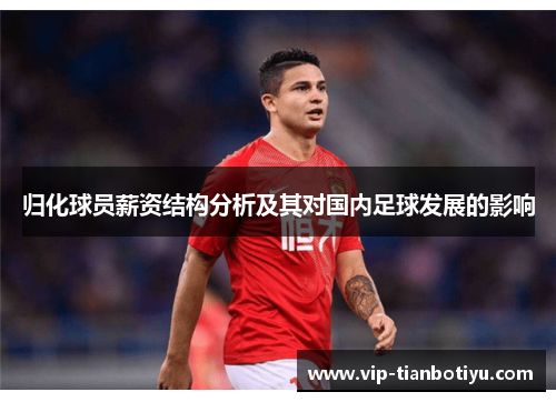归化球员薪资结构分析及其对国内足球发展的影响 归化球员薪资结构分析及其对国内足球发展的影响