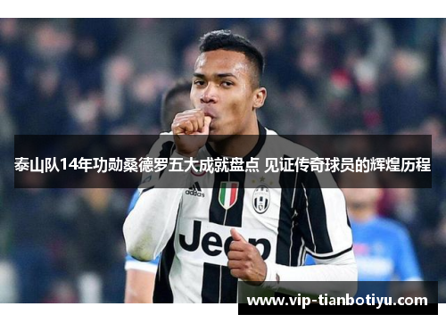 泰山队14年功勋桑德罗五大成就盘点 见证传奇球员的辉煌历程