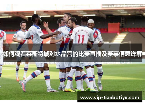 如何观看莱斯特城对水晶宫的比赛直播及赛事信息详解