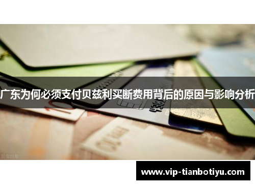 广东为何必须支付贝兹利买断费用背后的原因与影响分析