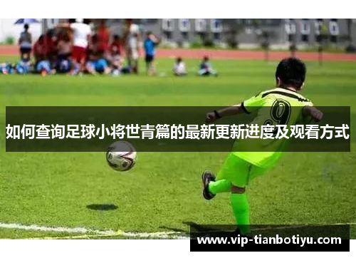 如何查询足球小将世青篇的最新更新进度及观看方式