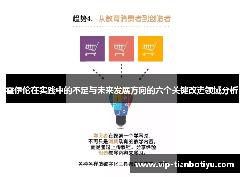 霍伊伦在实践中的不足与未来发展方向的六个关键改进领域分析