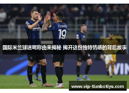 国际米兰球迷昵称由来揭秘 揭开这份独特情感的背后故事