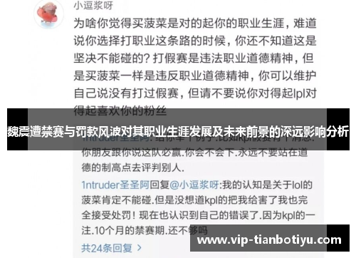 魏震遭禁赛与罚款风波对其职业生涯发展及未来前景的深远影响分析