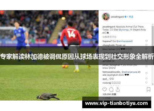 专家解读林加德被调侃原因从球场表现到社交形象全解析