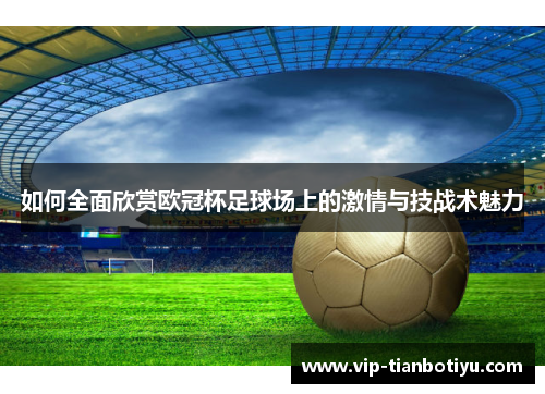 如何全面欣赏欧冠杯足球场上的激情与技战术魅力